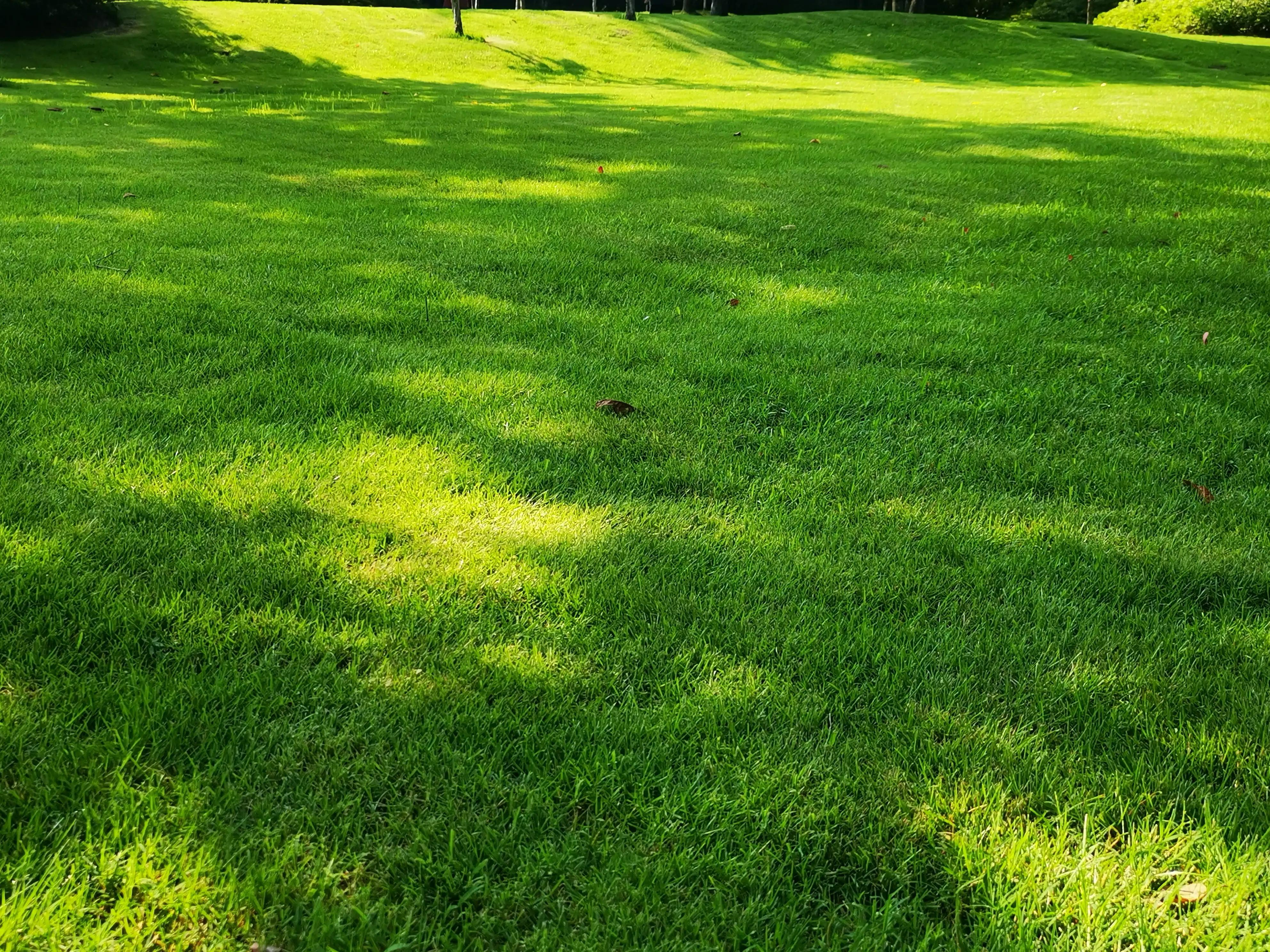 亲子教育作文600字,亲子共读童年作文