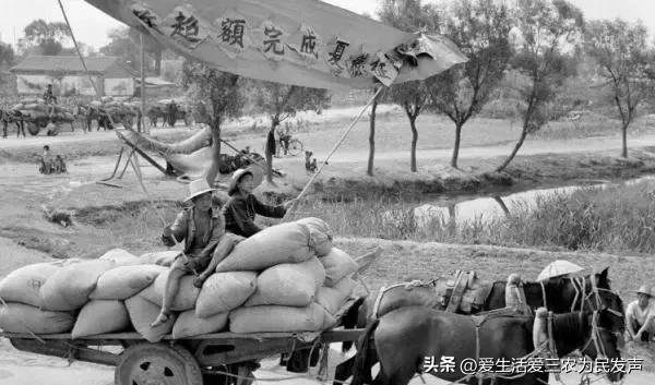 交公粮时候农民苦吗,交公粮农民辛酸的诗词