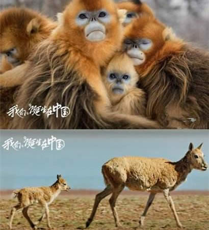 2023儿童必看十佳影片,儿童必看动画片排行榜前十名