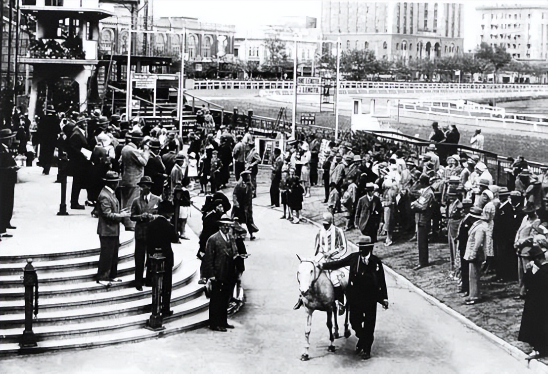 读体育读康复,读体育