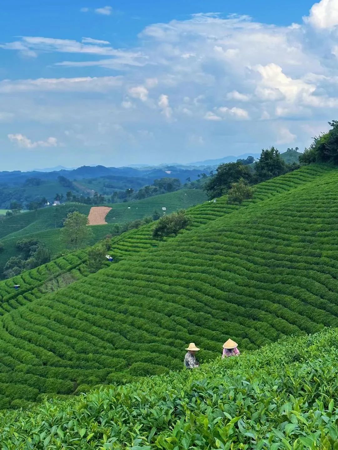 信阳南湾湖一日游详细攻略,信阳三日游攻略路线