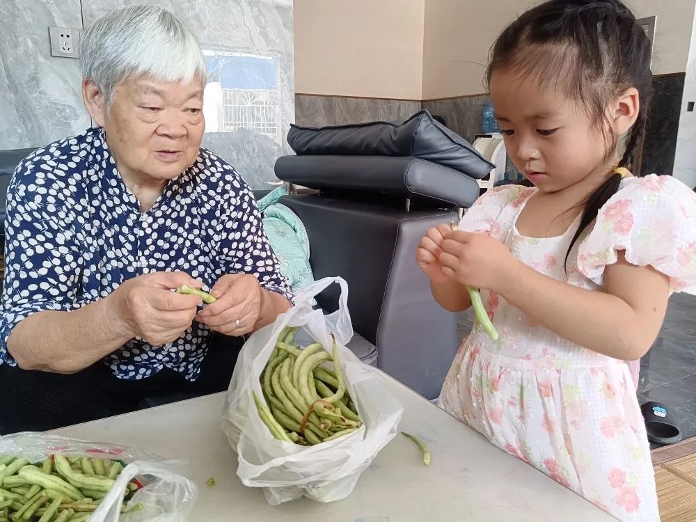 百善孝为先重阳节传递孝爱文化,重阳节爱老敬老百善孝为先的心得