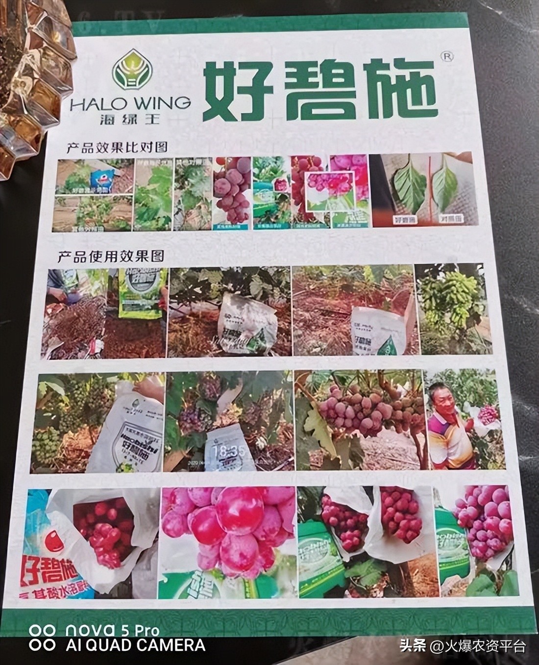 氨基酸肥料的9大优势,做农资需要掌握的知识