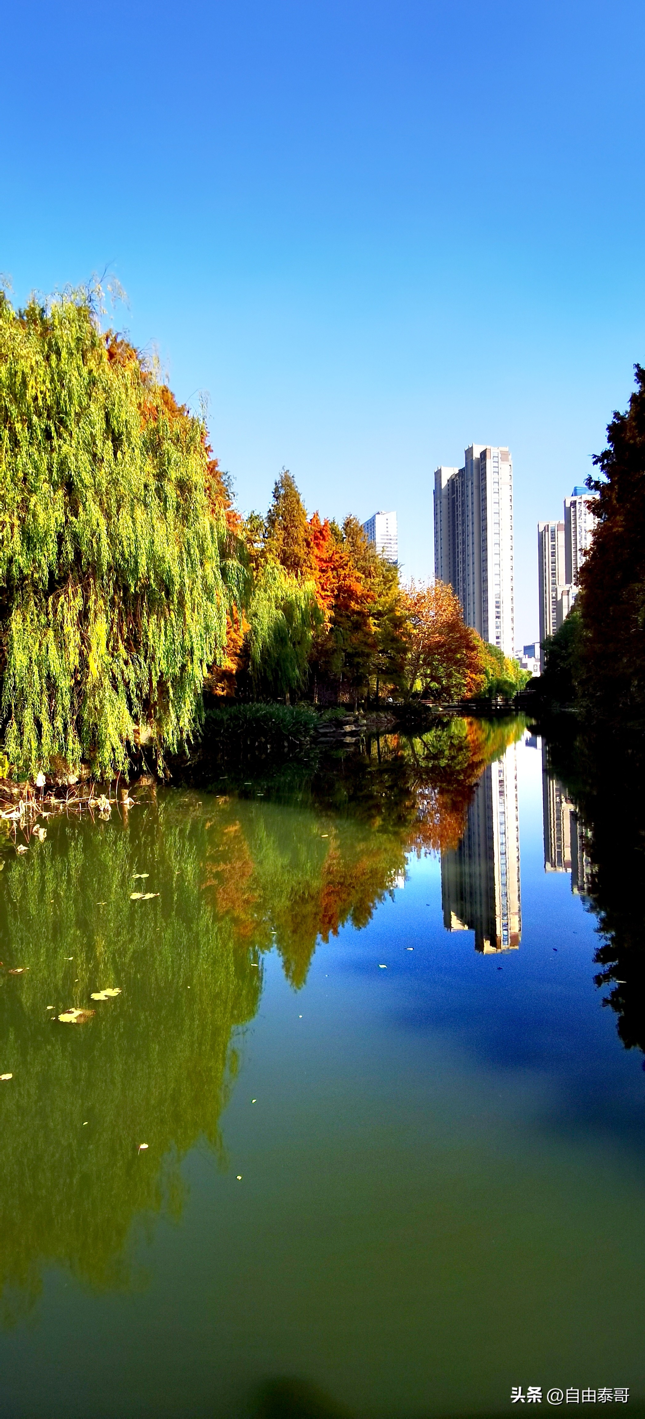 临平最大的亲水公园,临平最好公园排名