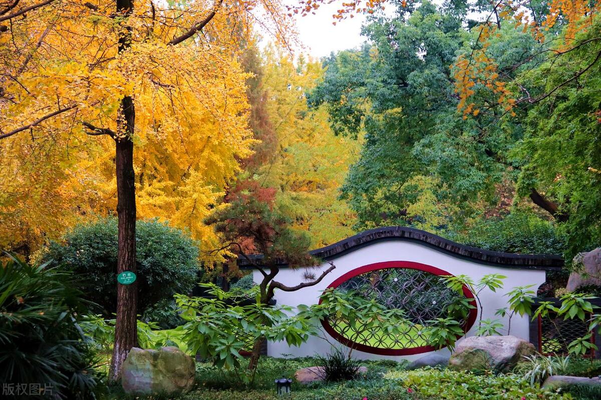 成都最美四大公园,最美成都公园排名