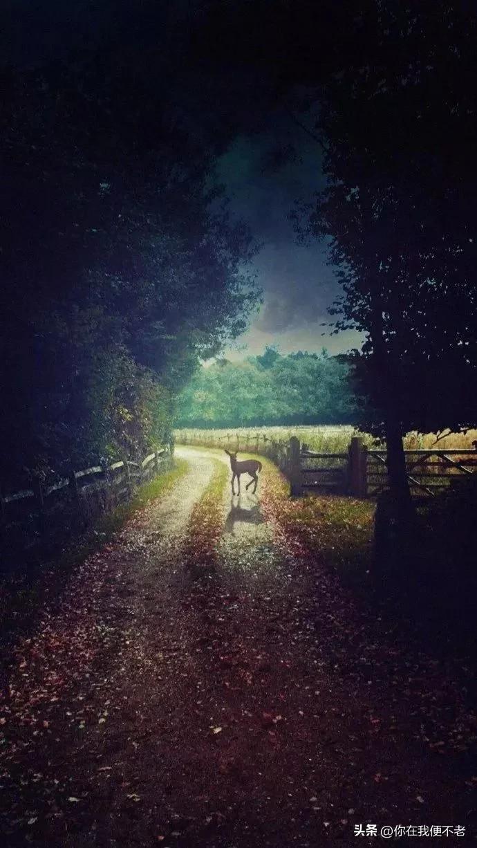 我是如何治好抑郁症,我是怎么克服失眠的