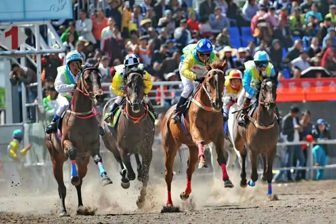 这十年的教育成就总结,大理州教育体育工作会