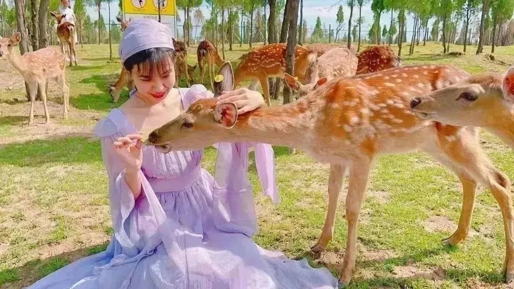 母亲节来打卡|长春电影嘉年华又上新啦！这份攻略请收好→