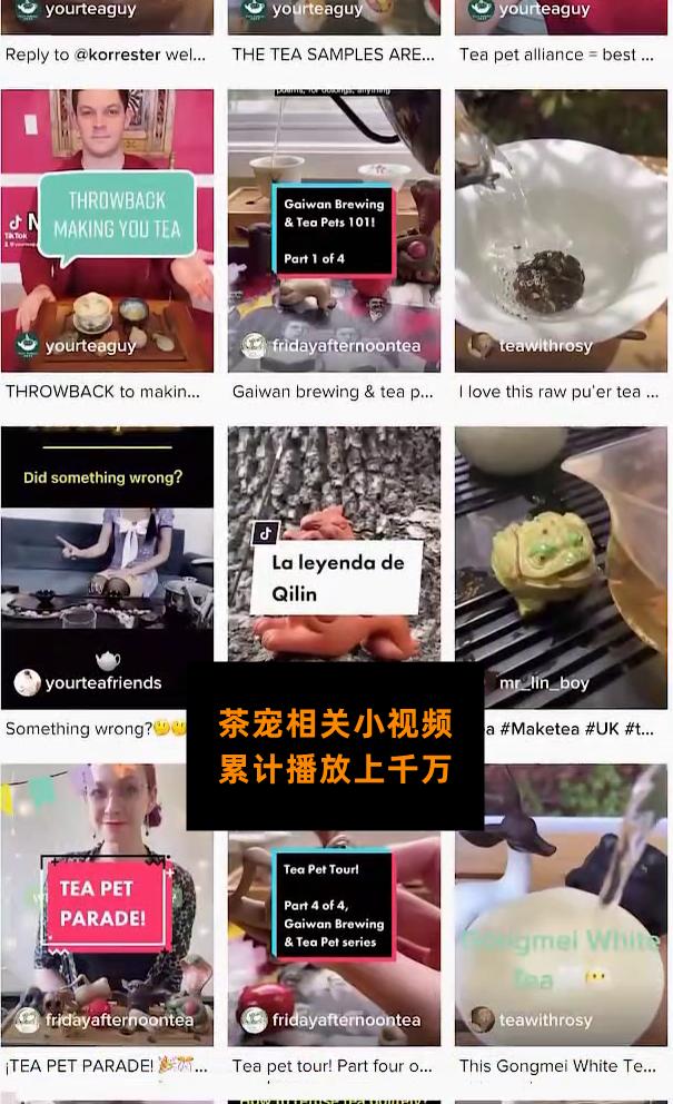 茶宠海外,外网最火茶宠