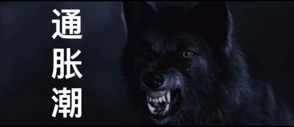 金融圈年终总结表情包,2023金融圈年终总结表情包版