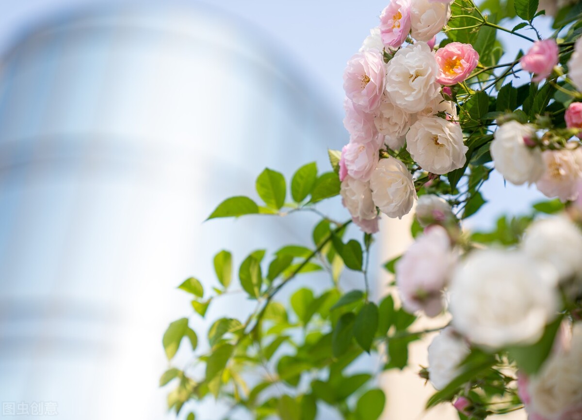 75岁老人临终的诉说,75岁老人的诉说