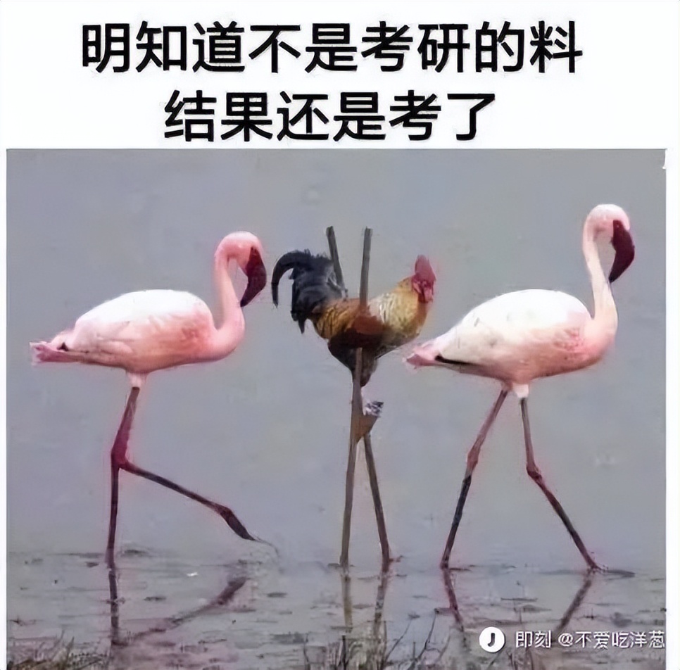 威尔·史密斯人生几大代表作|冷段子2111