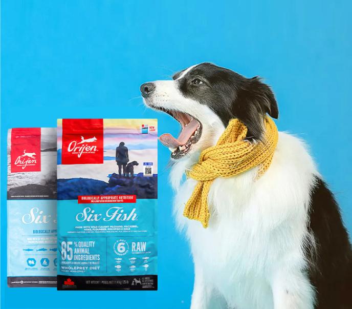 狗狗吃自制狗粮好还是成品狗粮好,狗狗吃什么牌子狗粮好