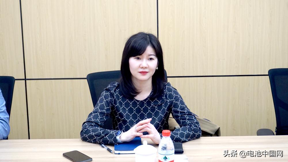 新能源汽车行业调研背景,新能源汽车行业调研分析