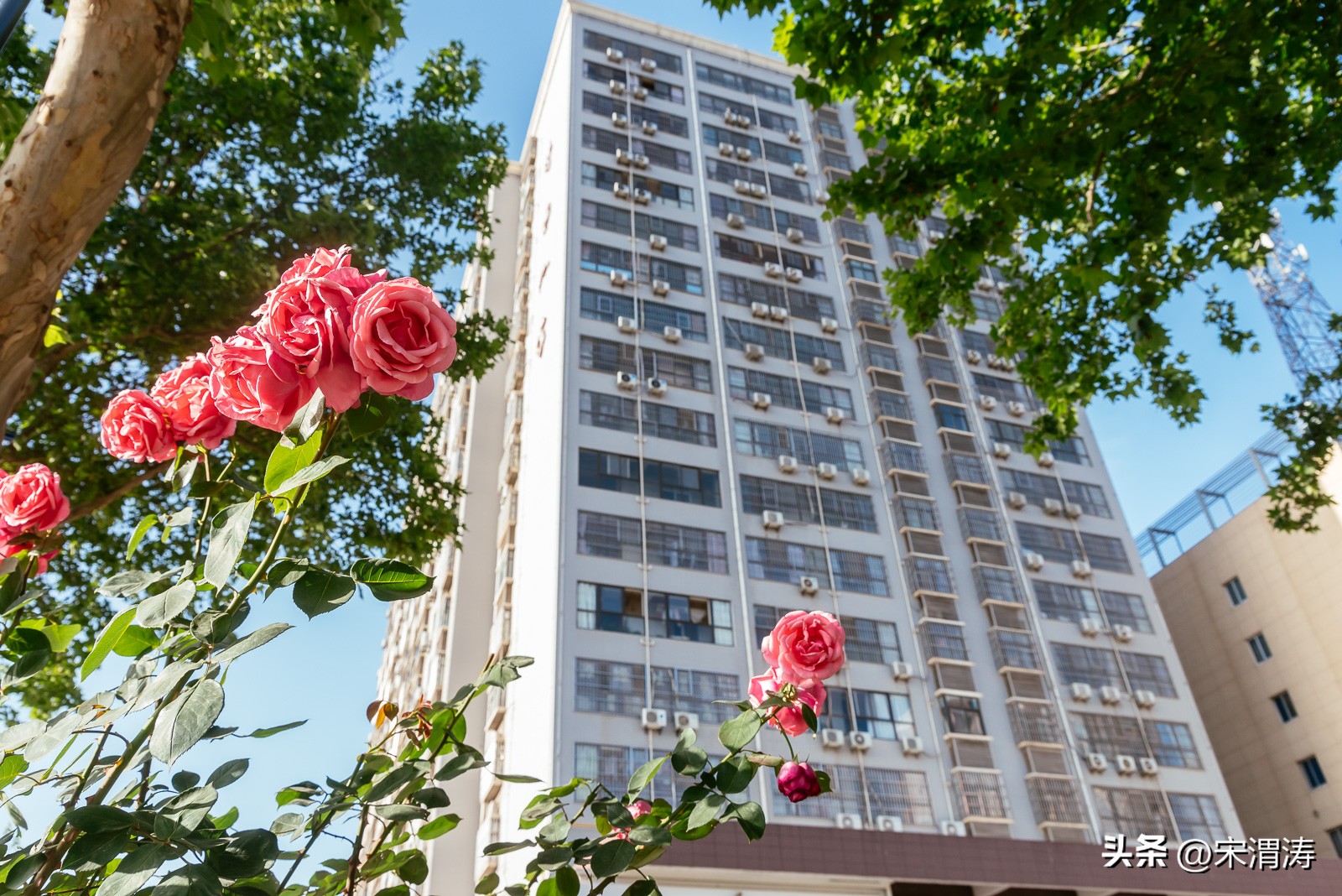 宋姓起源,山西洪洞宋姓起源