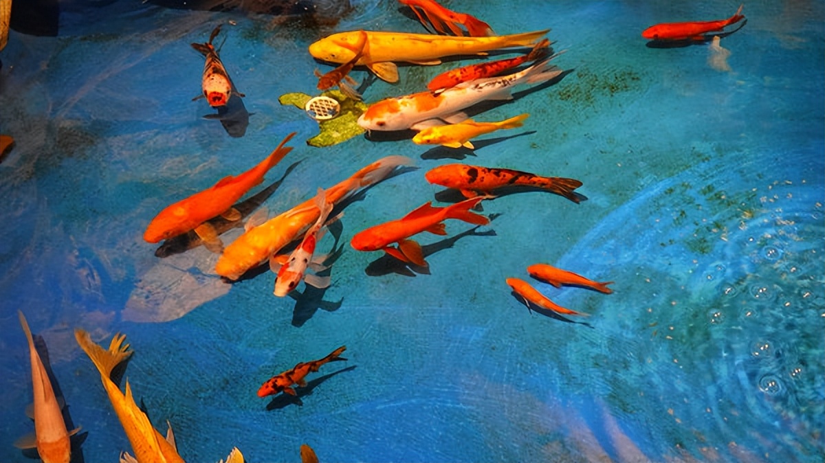 在江苏的“绿林仙海”中，寻找侠气与柔情