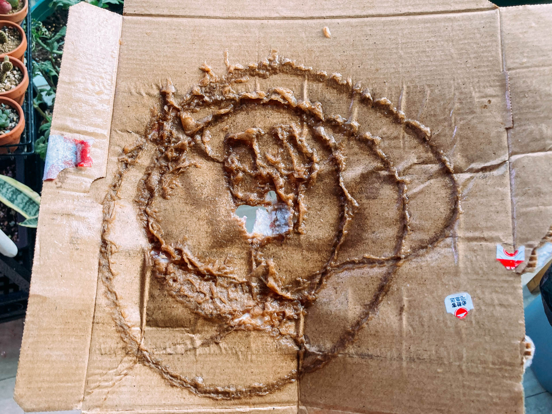 威克士洗车机wu629与wg630的区别,智能自助洗车机怎么用