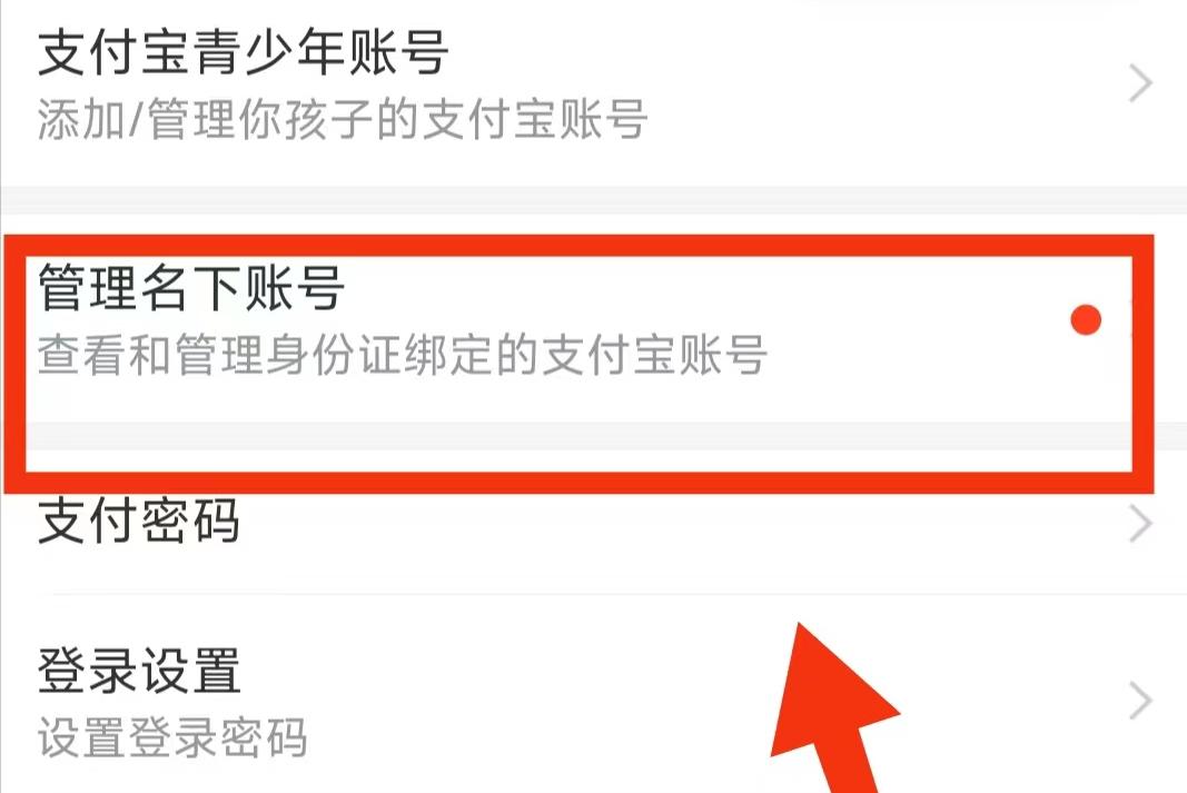 如何查看自己名下所有支付宝账号,如何查询自己名下几个支付宝账号