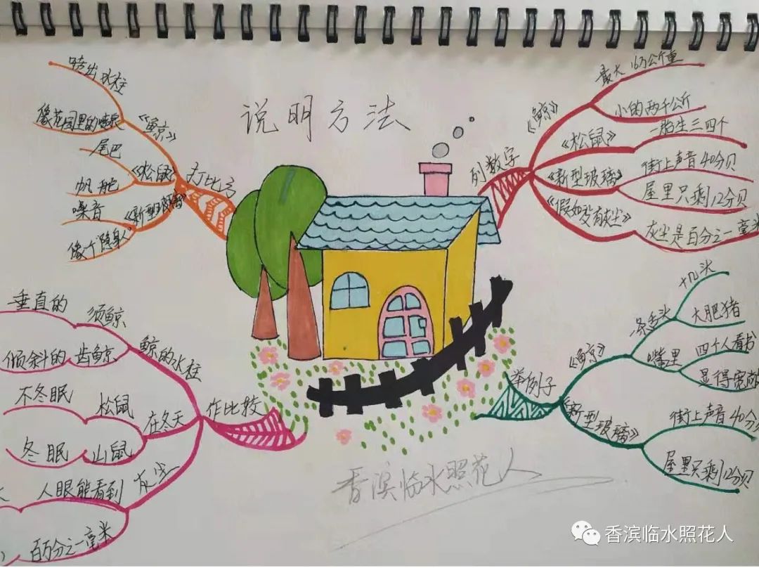 ​「五年级作文“我的心爱之物”」姜奕西《小猫》（二十四）