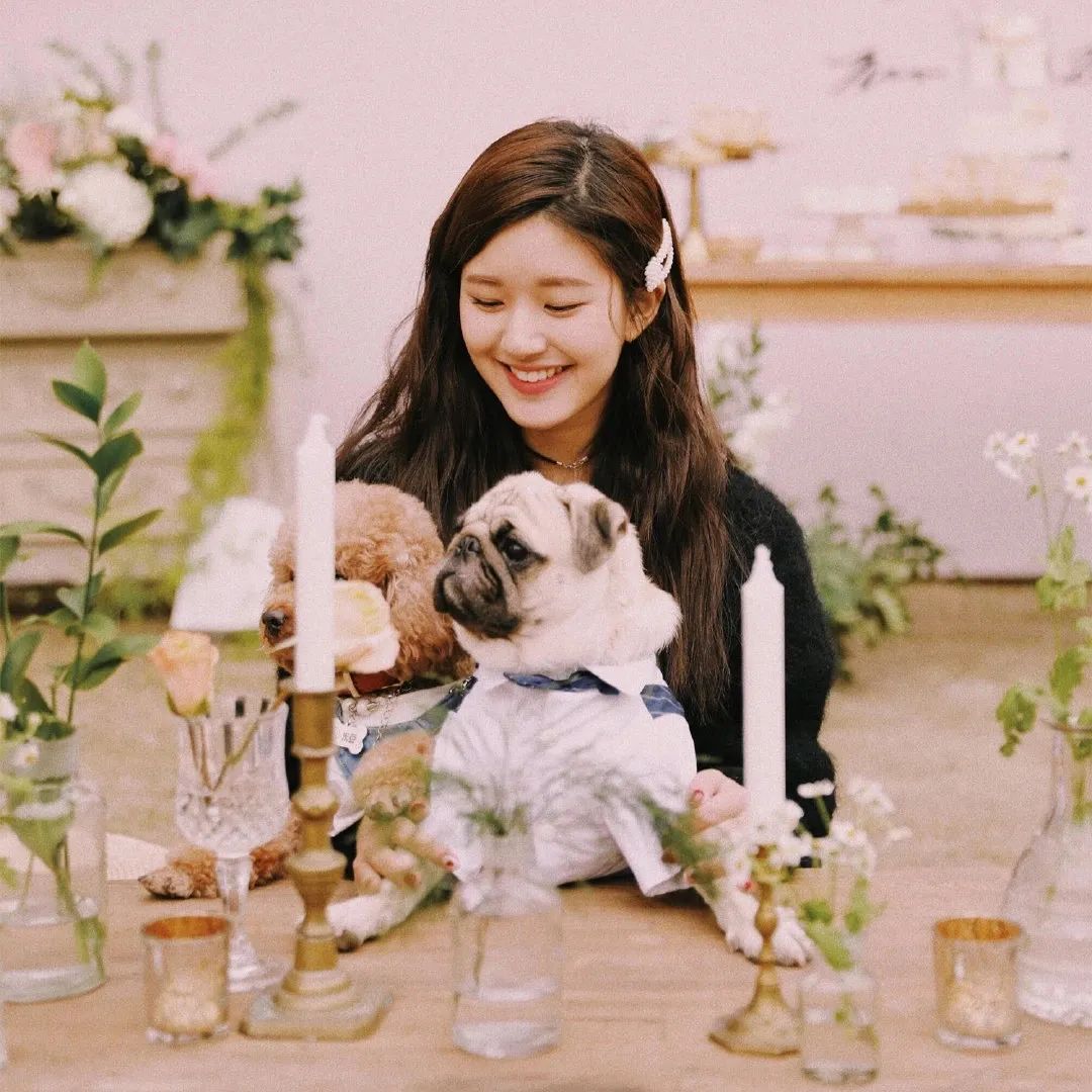 赵露思表情包头像,下载赵露思爱豆头像