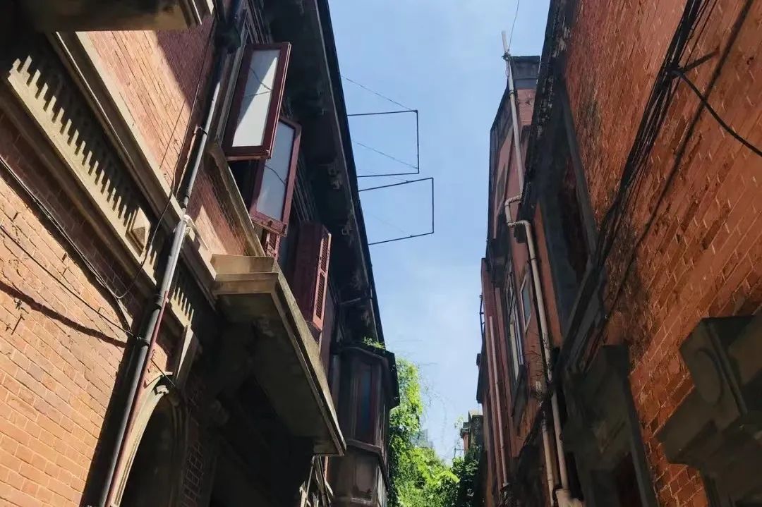 城市更新改造和盘活闲置土地,城市更新行动见成效