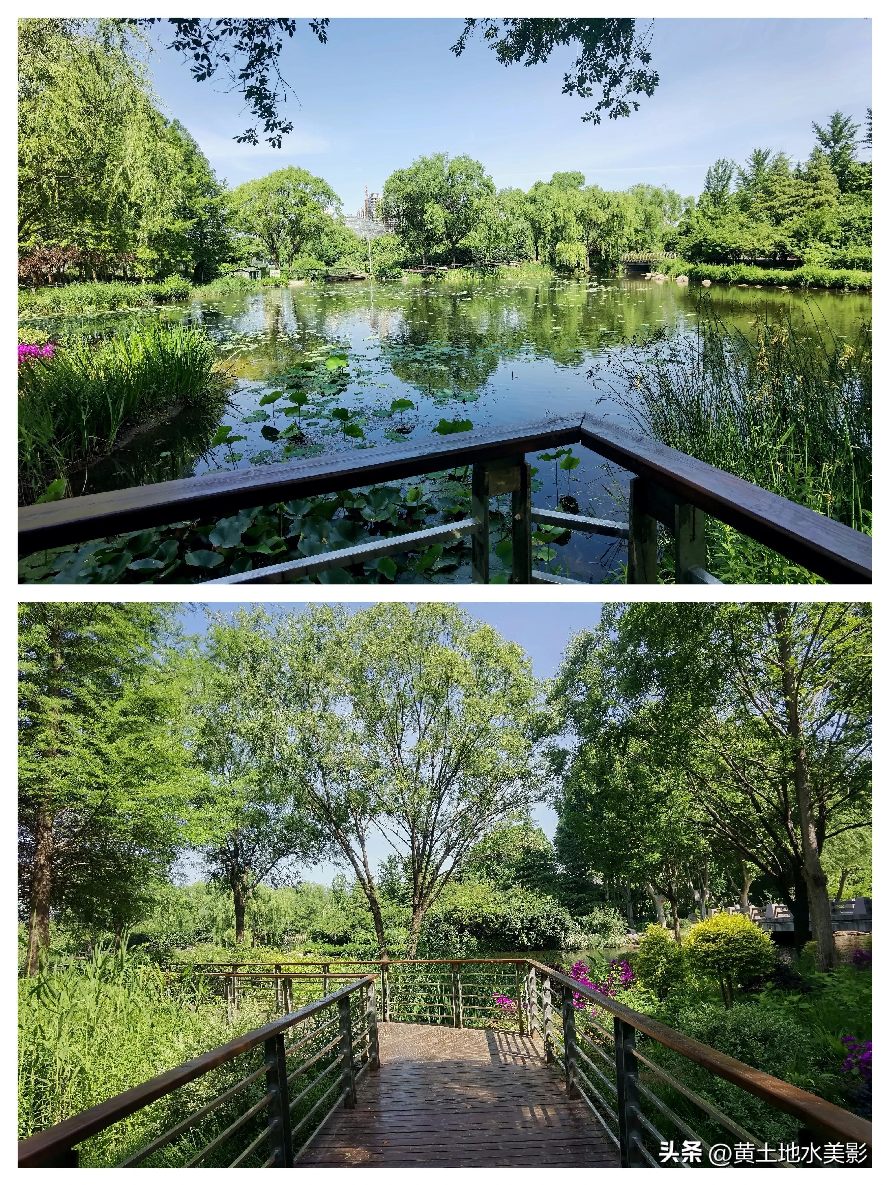 河南植物公园景点介绍视频,河南森林公园有哪些