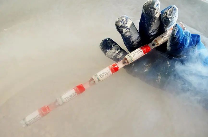 发达国家捐精通过率不足7%，欧洲看脸，美国看成绩，日本好乱