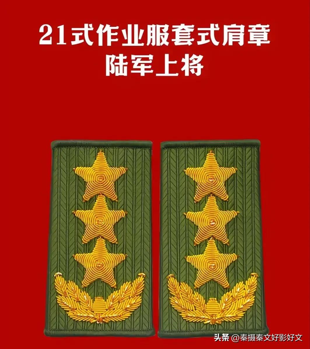陆海空火箭军*警武**部队全套常服肩章和21式作业服套式肩章