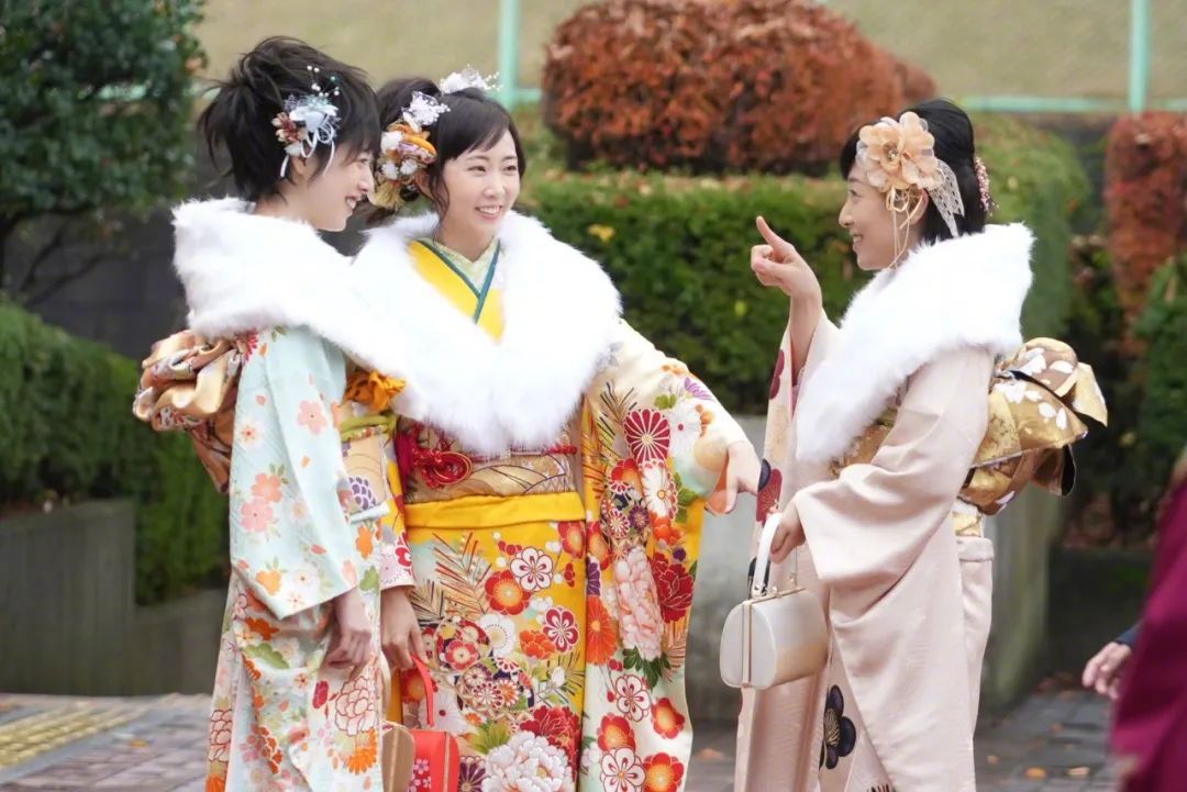 国产必看佳片,开年佳片推荐