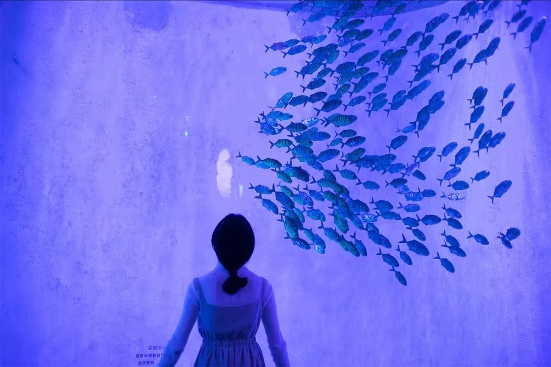 深圳10个小众打卡地免费游玩,深圳小众海边游玩攻略