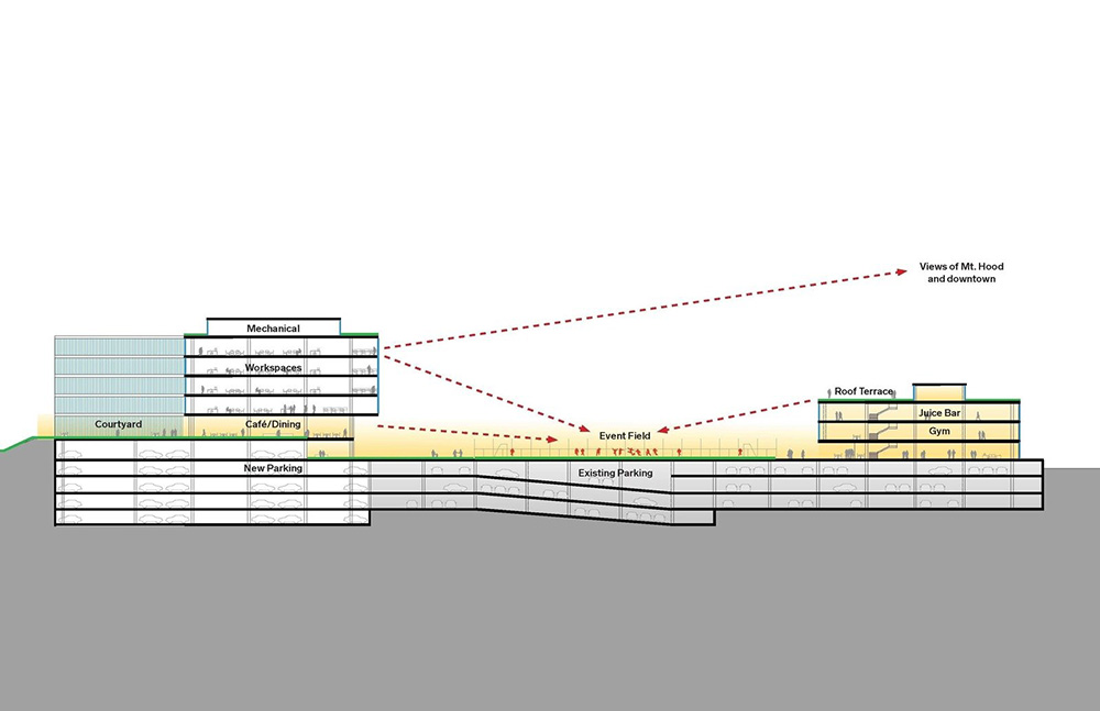 阿迪达斯设计,阿迪达斯设计美学