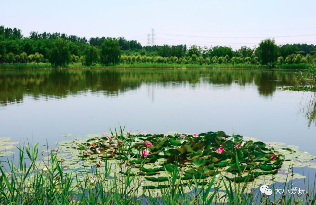 周末来袭快看看可以游玩的好去处 (游玩攻略这些地方你一定要看一看)