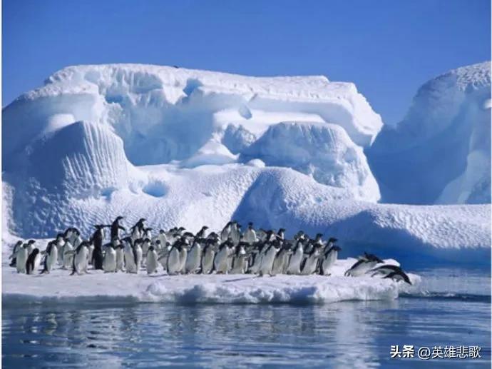 大洋洲有几个国家澳大利亚,为什么整个大洋洲都是澳大利亚的