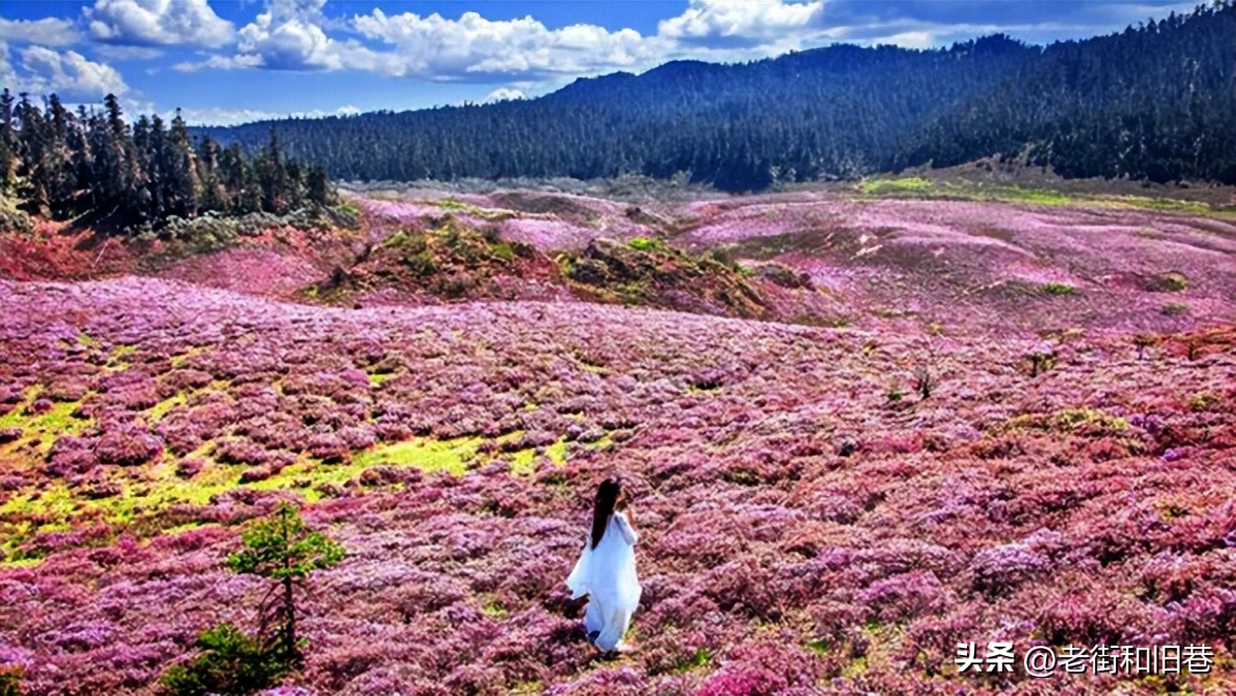 为什么说四季都适合去云南玩,去云南哪个季节去最好玩