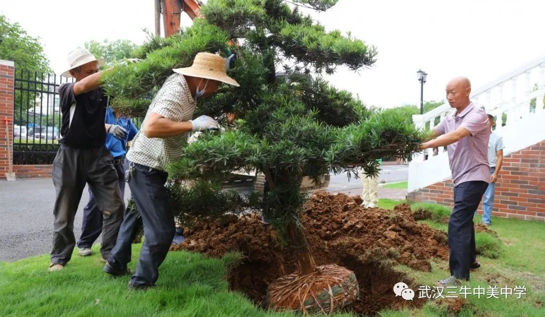 记录毕业典礼的快乐时光,学校毕业典礼上的那些事