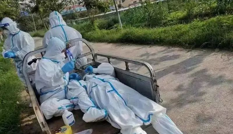 勇担使命映初心战“疫”一线*党**旗红—曹县各级*党**组织和广大*党**员积极参与疫情防控工作综述