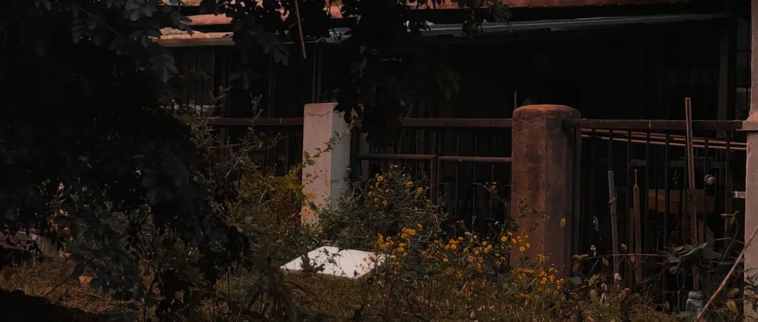 如何高甜谈恋爱,谈恋爱真的很low