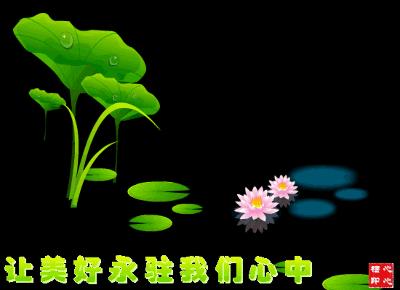 赞美梨花的诗句古诗大全,关于梨花的古诗词大全