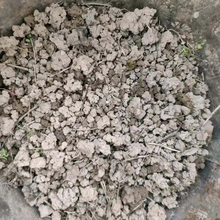 种植物的神仙水,神仙水养什么花最好