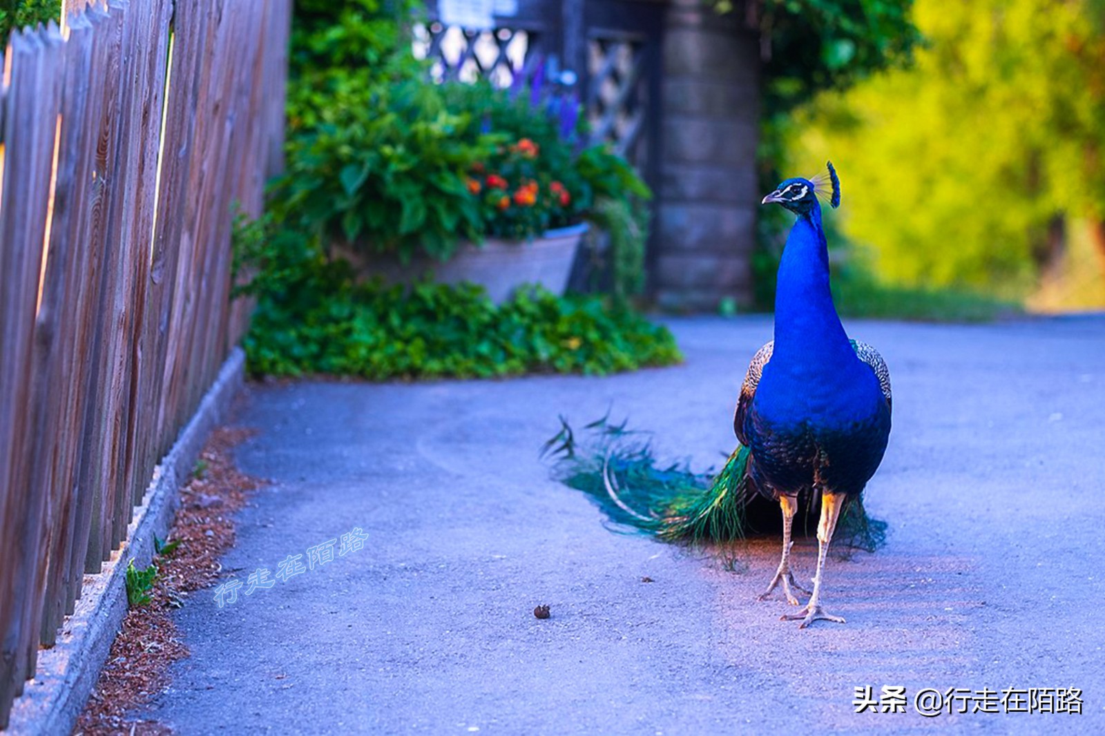 素食小镇图宾根：一次性餐具单独缴税，外卖打包自带水杯碗盘