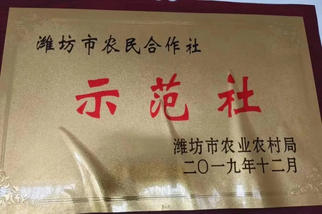 肉鸭养殖乡村振兴,肉鸭养殖与乡村振兴