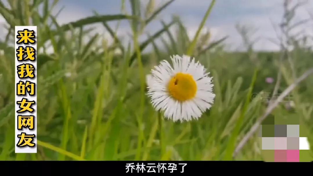 40岁已婚女子网恋生子被网友抛弃,女子婚内出轨网恋对象生下双胞胎