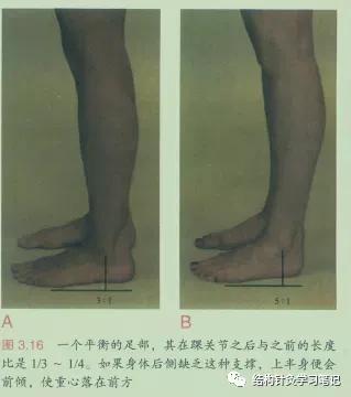 拔罐中的走罐,拔罐走罐视频
