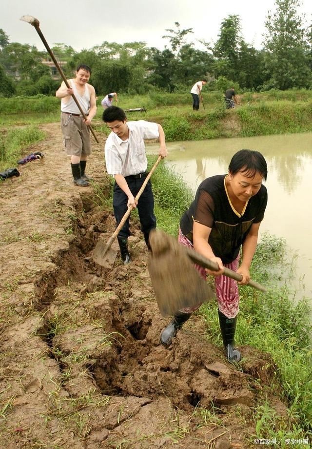 农村土地承包有前景吗,土地承包种什么最有前景