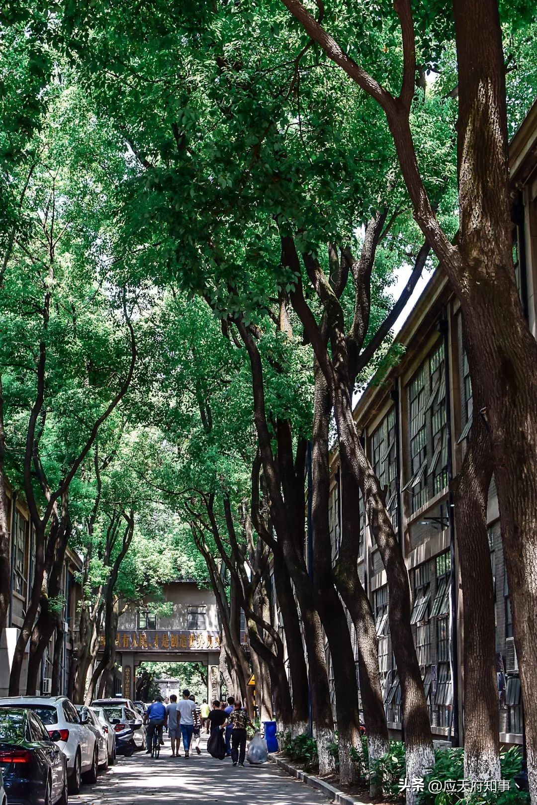 来南京不能错过的小众打卡地,南京江宁小众打卡点