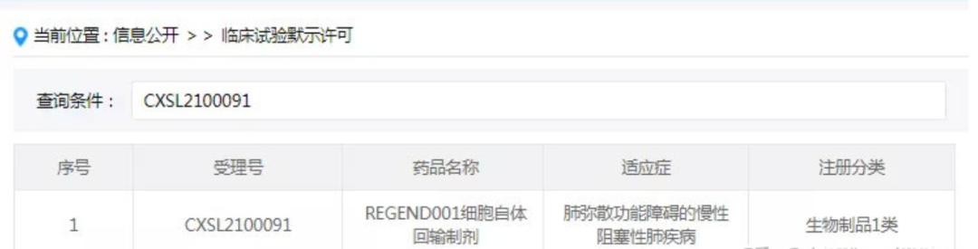 干细胞变身“修复师”，对抗肺部疾病