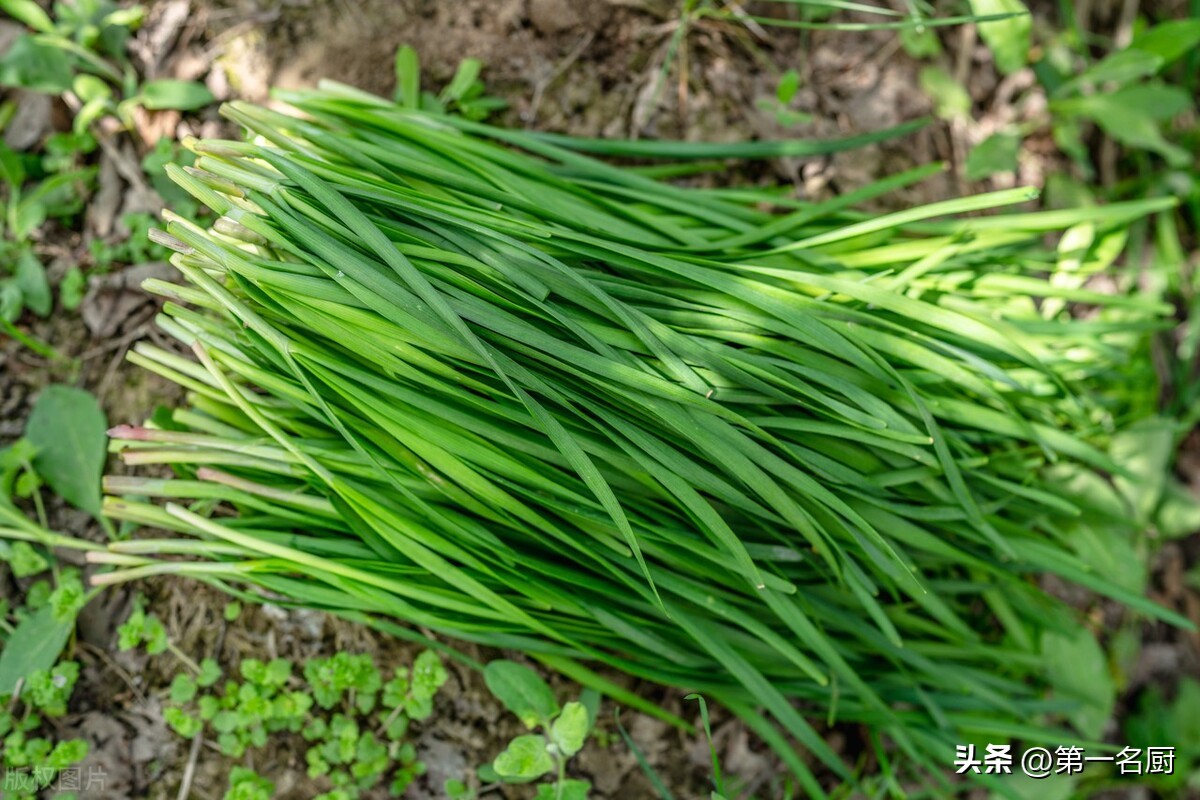 男人应该多吃什么菜能养生,男人每天吃点什么菜最好