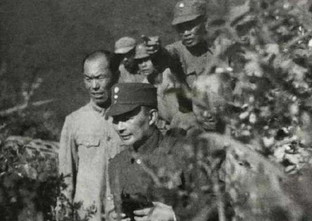1946年叶挺在黑茶山遭遇空难，60年后风波再起：有人爆出“真相”