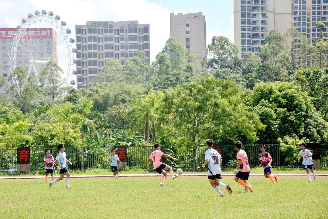 男女足世界杯冠军,男女足都夺冠