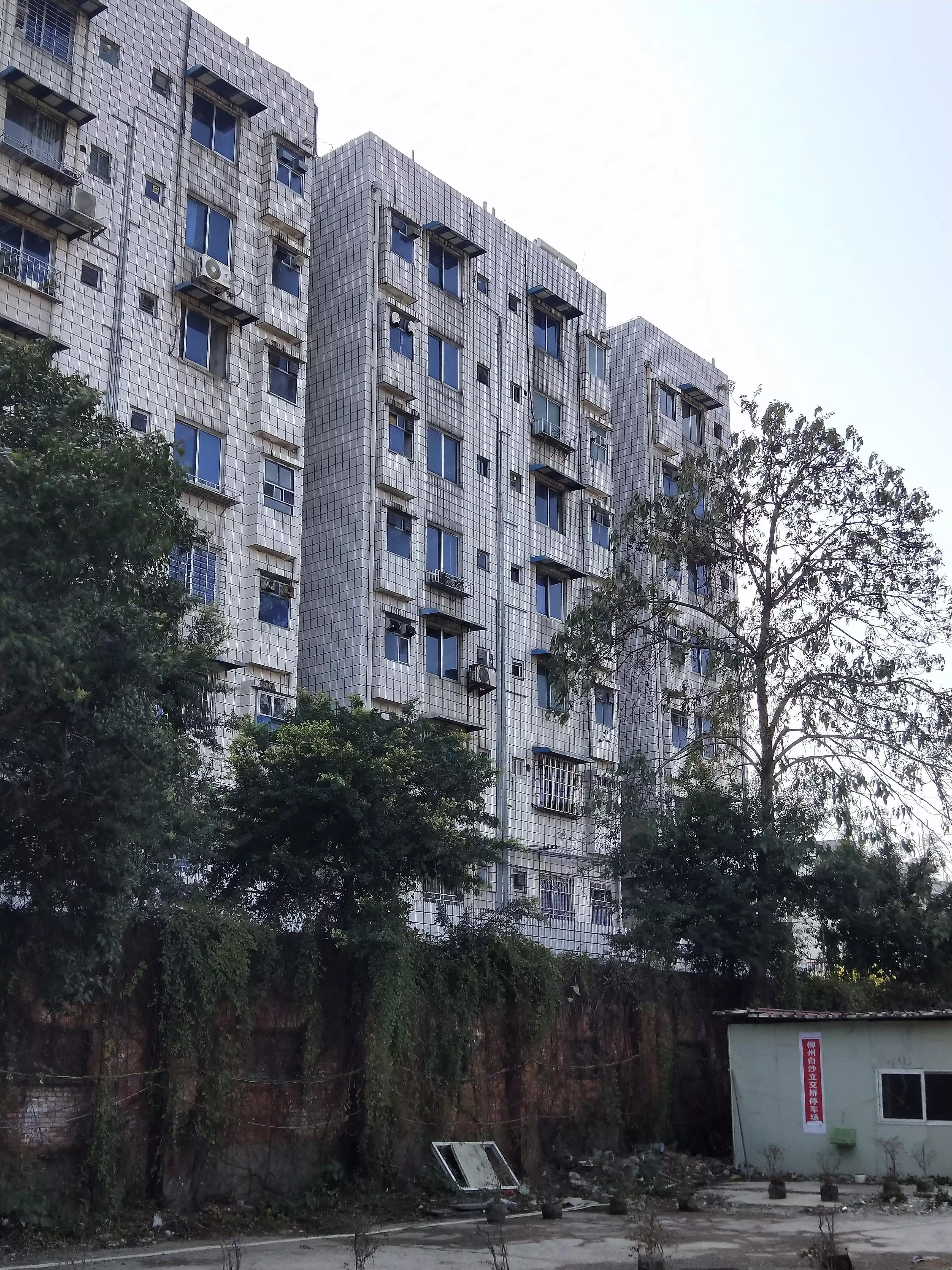 柳州糖果二厂,广西柳州柳石路糖果一厂